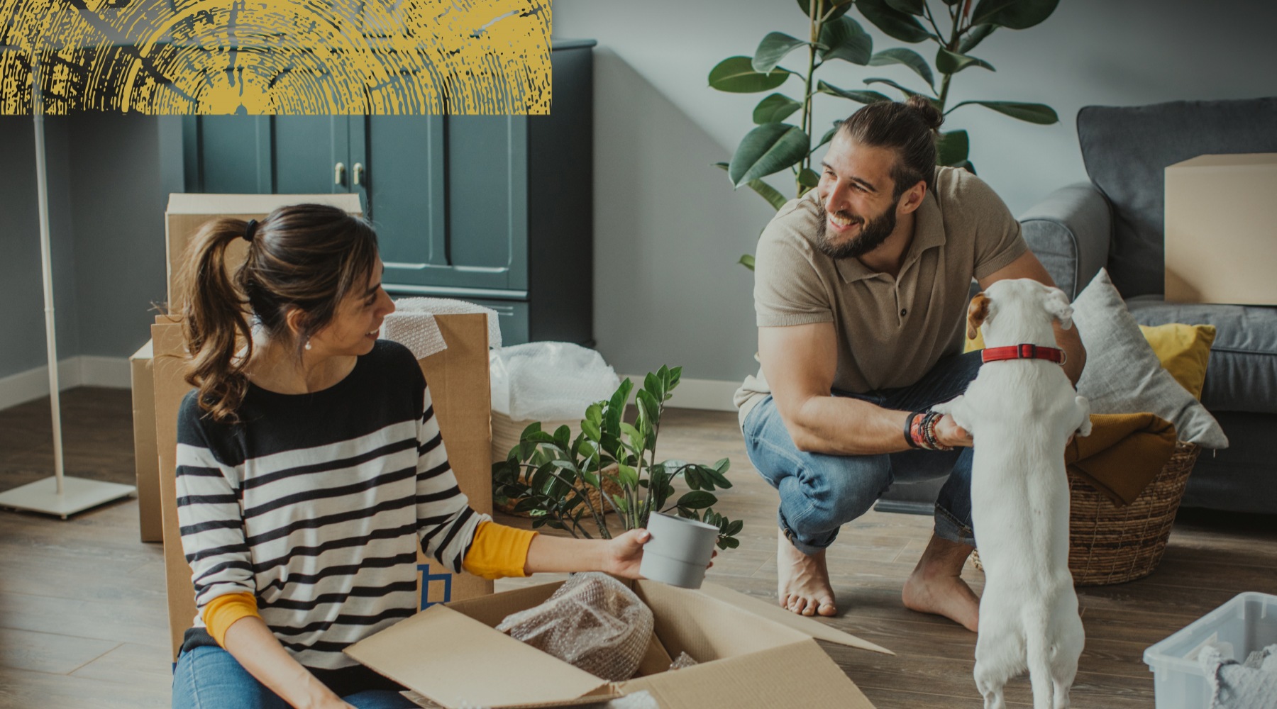 LIVE IT UP NORTH LIVE IT UP NORTH